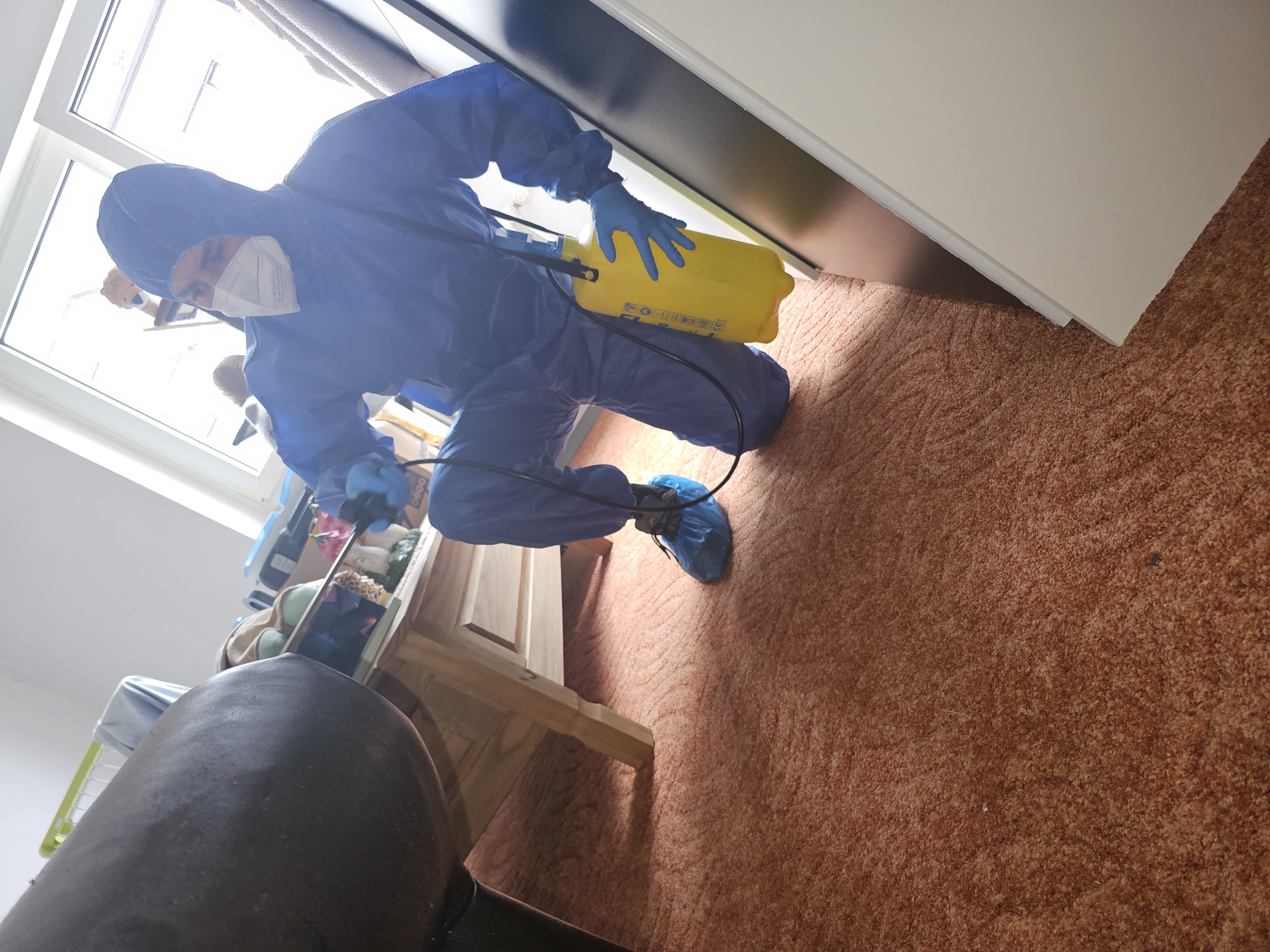 Einsatz: Bettwanzenbekämpfung